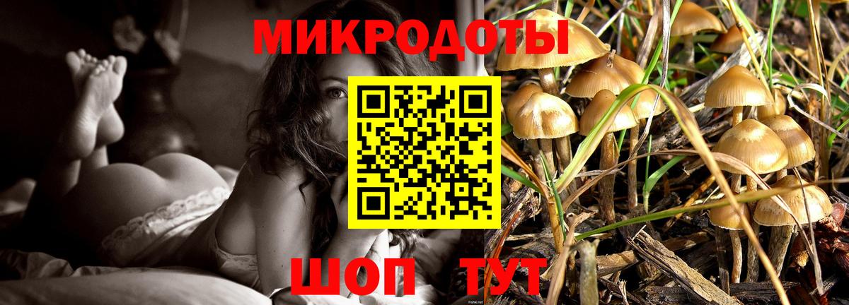 Спасск-Дальний  Псилоцибиновые грибы мицелий  Вход с VPN  Псилоцибиновые грибы Cubensis 